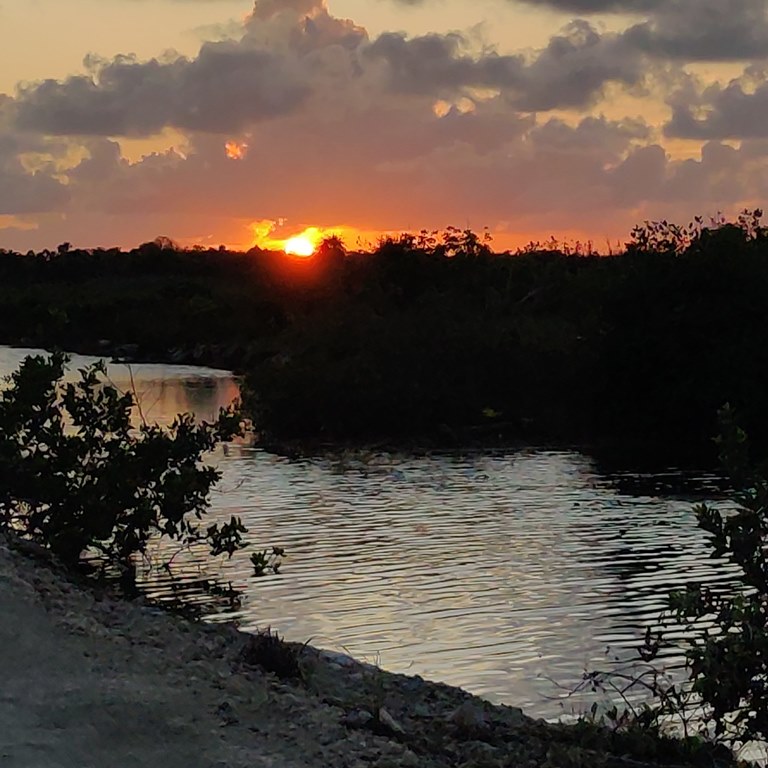 getting arund ambergris caye