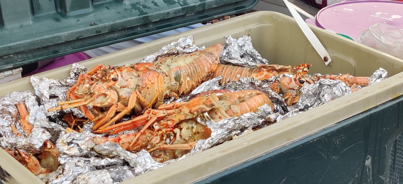 san pedro lobsterfest 2022 by enterprise golf cart rentals belize